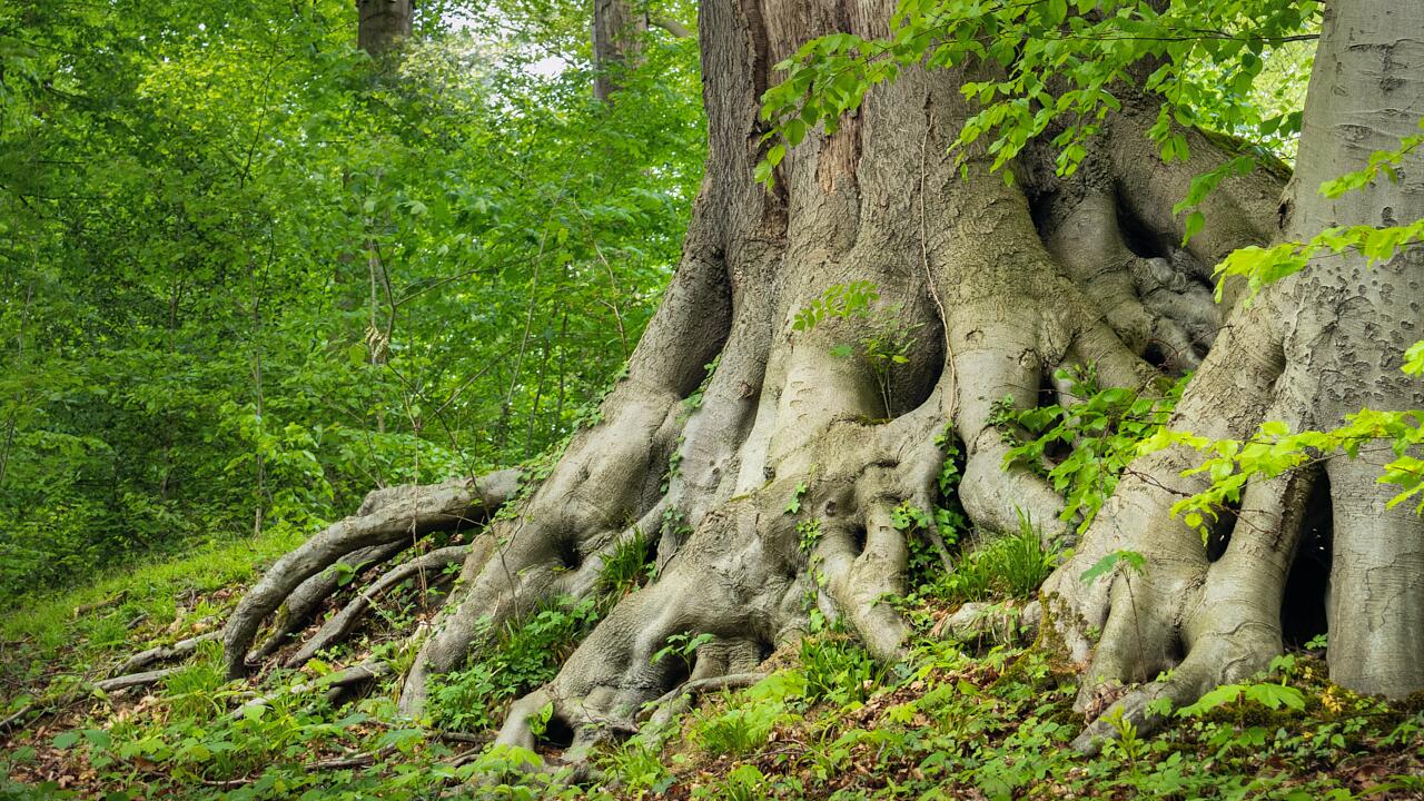 Paarberatung St.Gallen - Paartherapie St.Gallen - Kontakt